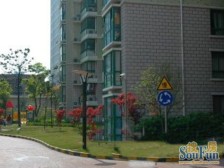 江景房-04年板式楼!标杆小区!配套齐全!满五!