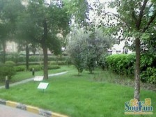 明珠家园(黄浦) 3室1厅 南 北