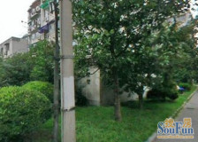 新出!大三房(全明户型)烫金商圈