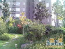 小户型|新挂盘|随时可以看|空间大