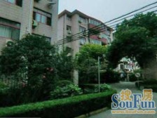 中间楼层,位置安静,业主保养的还不错