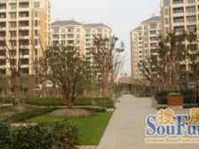 复试阁楼,户型正气,满五V一,二层5米层高,使用面积200多