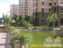 金桥·连城新苑·2室·1厅