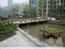 融侨 融侨云满庭C区三房130万