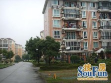 华唐苑2室南朝向305.00万元/套出售