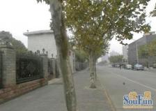 采光非常好,户型正气,高区楼层,