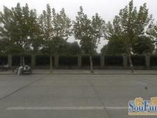 特殊户型,楼中复式,精装修200万+,空间大