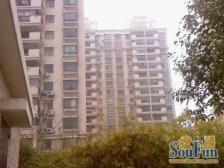 满五,采光好,产权清晰新上房源