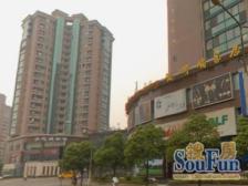 黄金豪园 3室2厅 西南