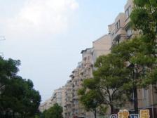 产权清晰,通风好,现场实勘 必看好房