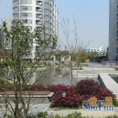 诚意卖,随时可看,房东还好说话