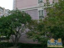 聚星苑3室南朝向780.00万元/套出售