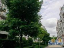 2001年板式飞机户型未来19号边上