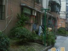 曹杨六村1室南朝向330.00万元/套出售