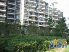 近地铁,南北通双阳台 现场实勘 总监强推