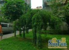 嫩江路地铁站约200米,二室一厅,地铁8号线20号线