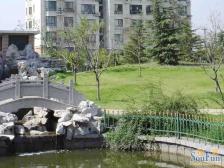 房子满五年 顶楼复式 带露台 格局好 业主诚心出售