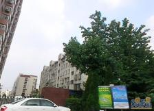 晨光东套·视野开阔·双地铁诚意出售