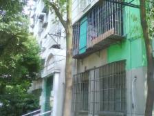 真光一房一厅,爸妈的心头好,全明户型,低楼层,对老人非常友好