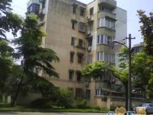 清涧二街坊3室南朝向299.00万元/套出售