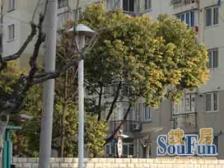 星福家园新上顶楼复式,品质小区,7/15号线双轨交