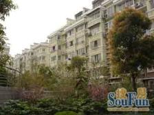 顶楼复式带露台,双轨交7号线、15号线,