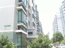 新杨思近地铁,罕见凯旋门飞机三房,中间楼层精装