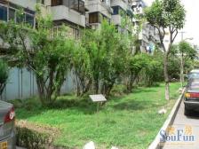 店长推荐 地鉄200米 周边配套成熟 送30平院子 诚意出售