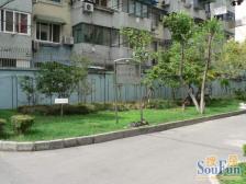 新上 中区 采光好,低首付,好上车,业主诚意出售