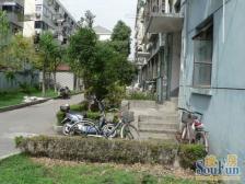 罗秀路站口380米 一楼20平米大院子 双南 无嫌恶设施