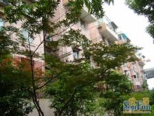 古美罗阳·古美五村·1室·1厅