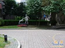 金汇带电梯小户型,低总价,近地铁