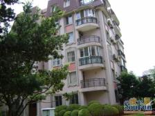 金汇带电梯小户型,低总价,近地铁