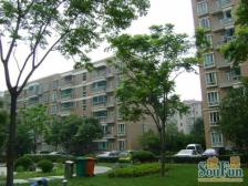 望族新城2室2厅南北