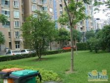 好位置,开阔视野,房子南北通透,飞机户型