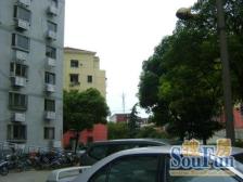 电梯房,一号线锦江乐园旁,户型好,楼栋好