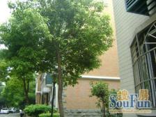 龙柏·龙柏城市花园·3室·2厅