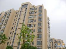 三期新出开发商精装,送产权车位,不靠马路房子嘎嘎好,别看报价