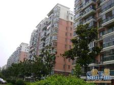 业主诚心,DT口新上好房,南北通前后双阳台,采光足,总价可谈