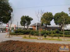 绿洲华庭苑(公寓) 4室2厅 南 北