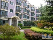 好房出租可以短租的三房,