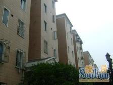 龙柏西郊公寓 2室1厅 南