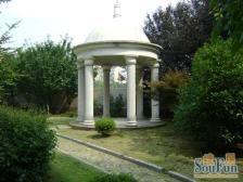 上虹新村 2室1厅 南 北