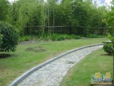 近地铁,无抵押 中间楼层,新上房源