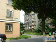 金虹桥·老上虹新村·3室·1厅