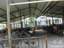 上虹新村 2室1厅 南 北