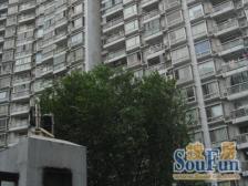 品质小区,电梯洋房,南北通双阳台,近曹杨路站,配套成熟