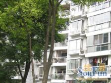 复试,环绕式大露台,独一套,有车位!采光好,视野好