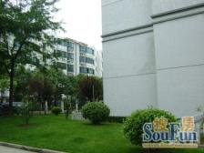 古美罗阳·平阳三街坊·2室·2厅