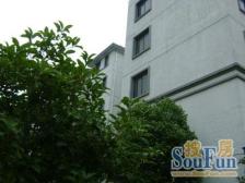 平阳三街坊 2室1厅 南